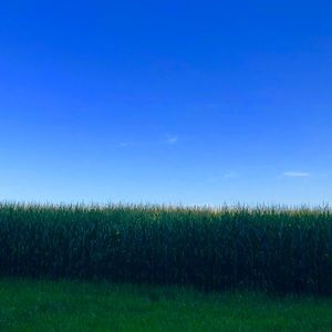 Meet your Posher, Maddie